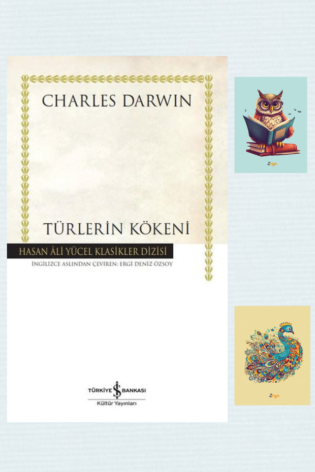 Türlerin Kökeni - Hasan Ali Yücel Klasikler - Charles Darwin - İş Bankası - Notebook Set