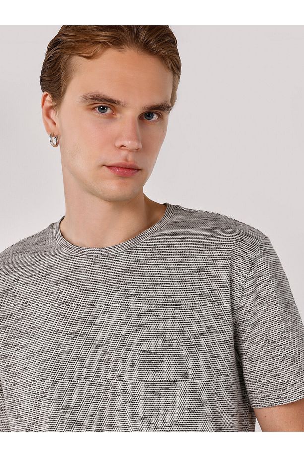Regular Fit Bisiklet Yaka Basic Antrasit Erkek Kısa Kol Tişört - 4