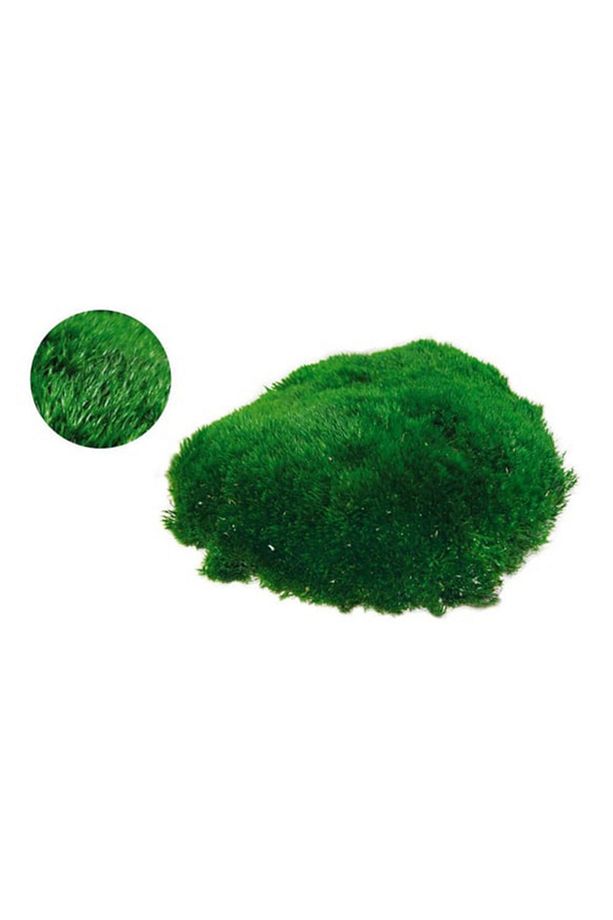 Korunmuş kadife yosun rabbit moss 50 cm2 - 4