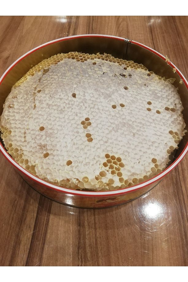 Bitlis Hizan Karakovan Petek Balı 1 Kg - 2