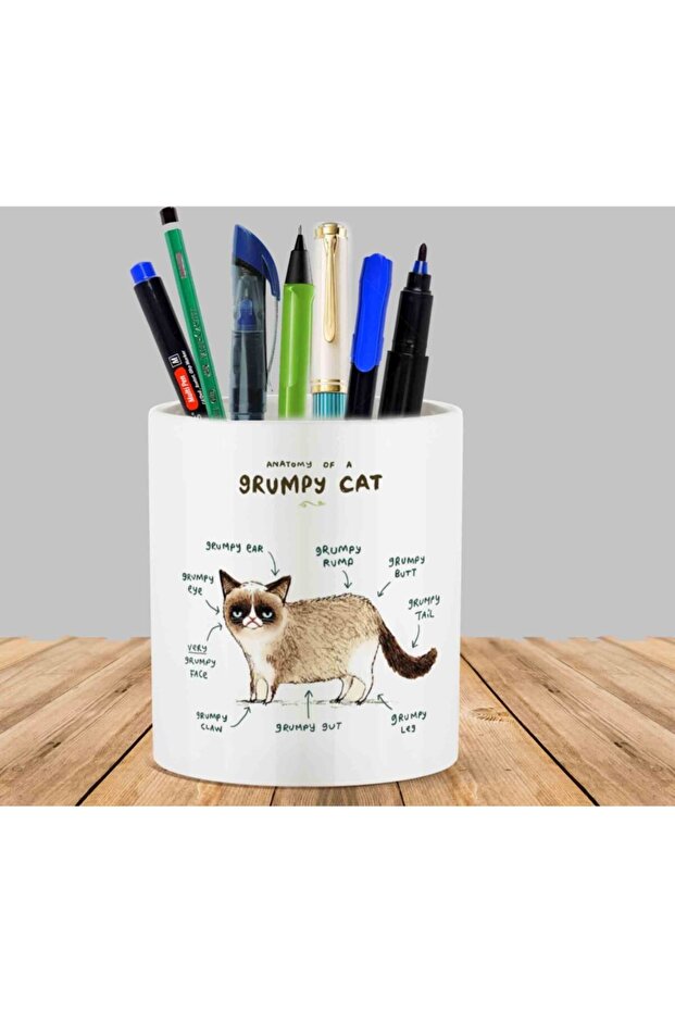 Cat Anatomy Cactus Succulent Flower Pot Pen Holder