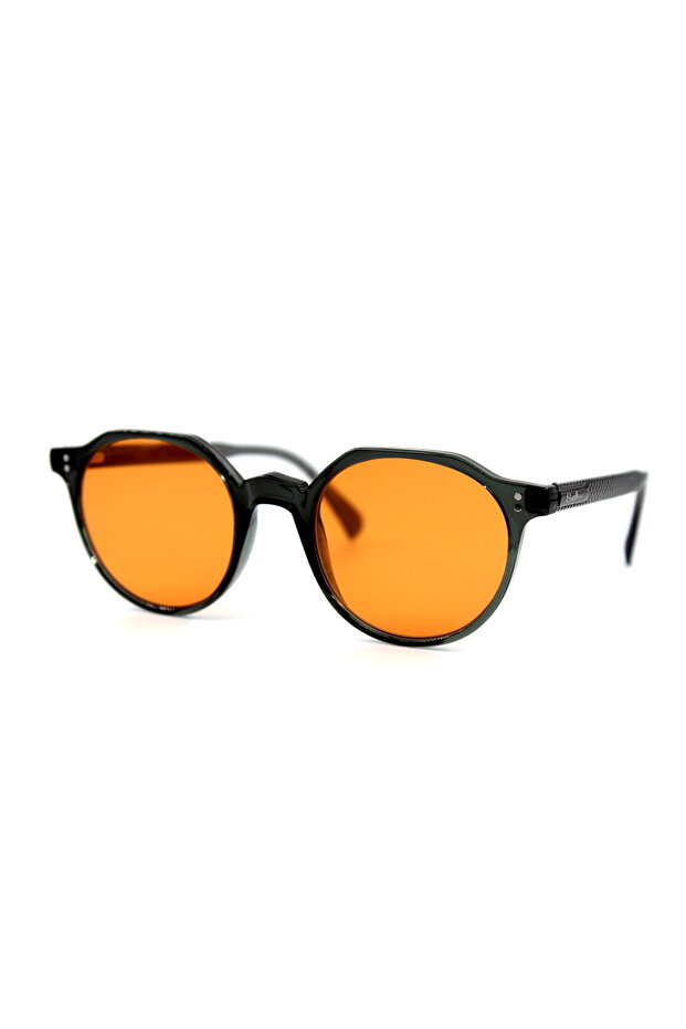 POLLİNİS GÜNEŞ GÖZLÜĞÜ - 2