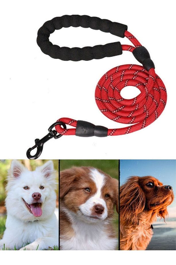Köpek Gezdirme Tasma Kayışı Siyah 40 Kg'a Kadar Köpekler Için Tasma Halatı Gezdirme Ipi 150 Cm - 2