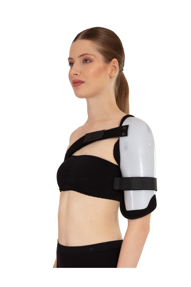 Humerus Breysi - Sol-Large - 1