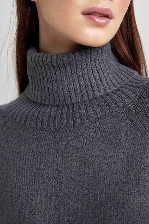 Regular Fit Balıkçı Basic Düz Balıkçı Yaka Uzun Kollu Triko Elbise C1932ax23wn - 4