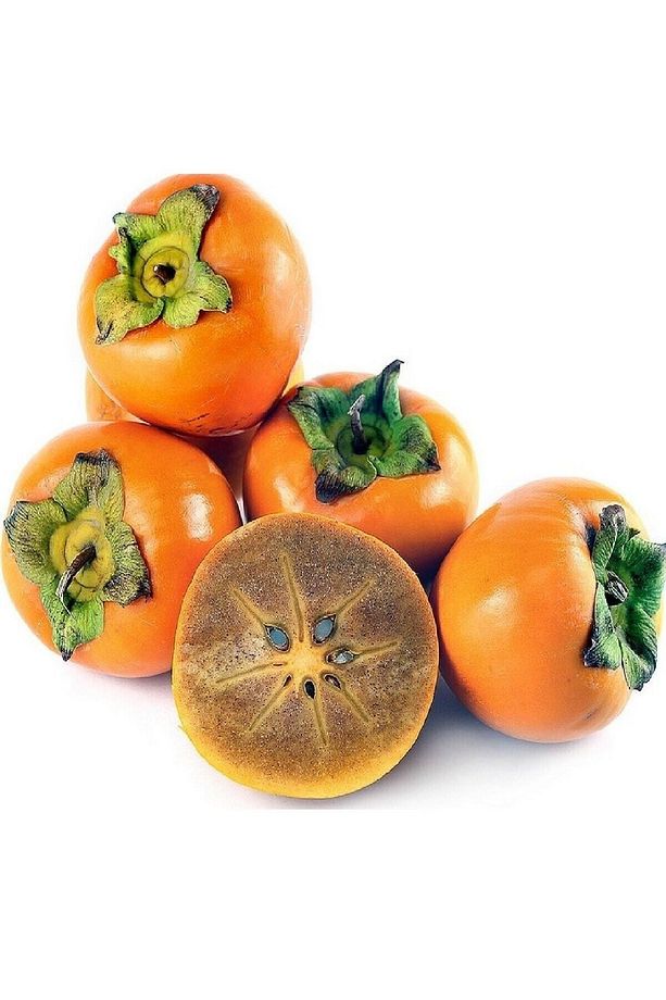 4 Adet Çikolata Aromalı Trabzon Hurması Fidanı ( Cennet Elması ) - 5