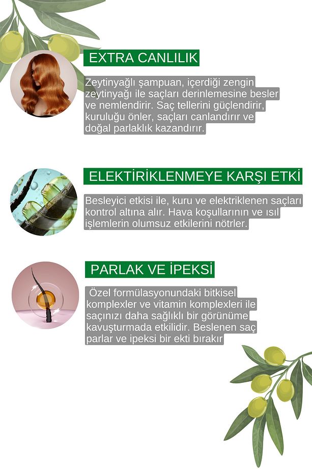 Kuru Mat ve Cansız Saçlar İçin Zeytinyağı Ekstraklı Şampuanı 450 ml 8699349130350 - 5