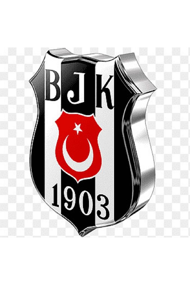 Beşiktaş Stripe Tek Kişilik Yatak Örtüsü Seti Beşiktaş Lisans - 3