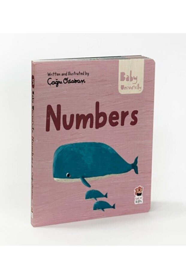 Numbers - Baby University First Concepts Stories 2