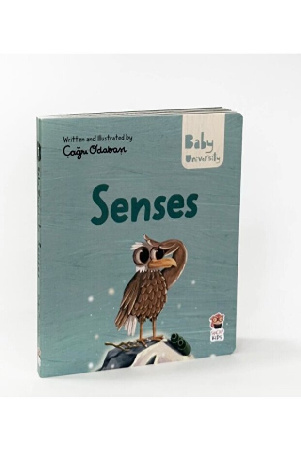 Senses - Baby University First Concepts Stories 2