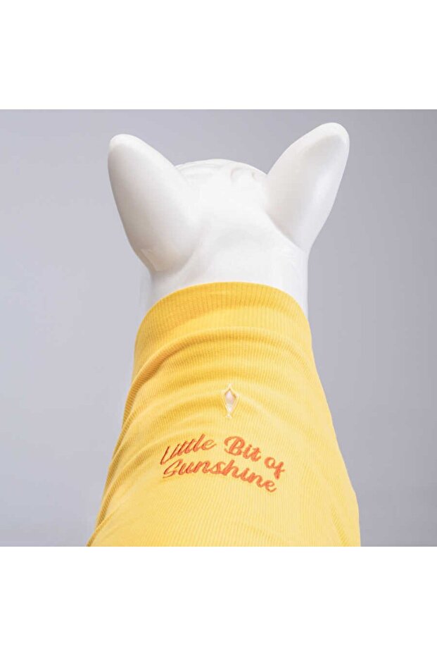Flex Little Bit of Sunshine Köpek Tshirt - 4