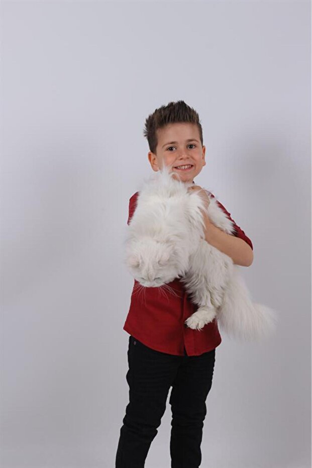 قميص أساسي باللون الأحمر الداكن للأولاد بأكمام قابلة للطي - 3