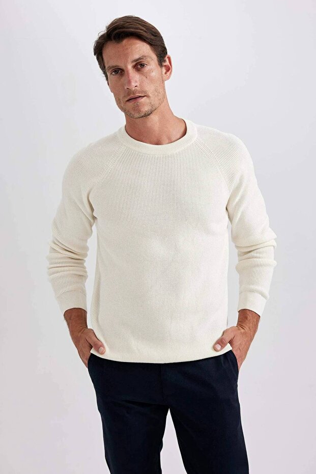 A8458Ax/Er100 Defacto Men's Sweater Ecru