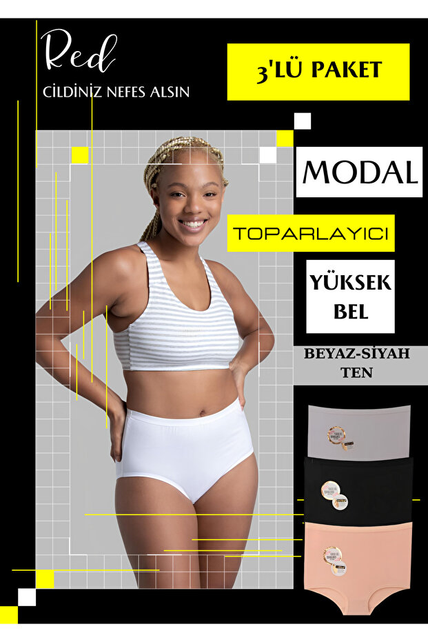 High Waist Belly Cupping Special Mold 3 Pack Modal Panties