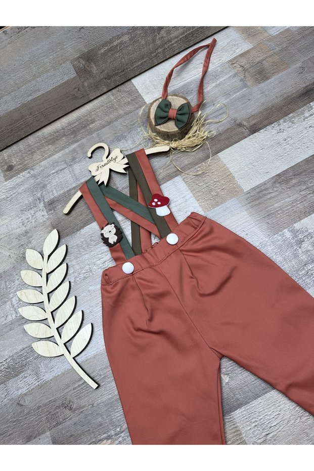 Baby boy birthday slapstick forest creatures concept