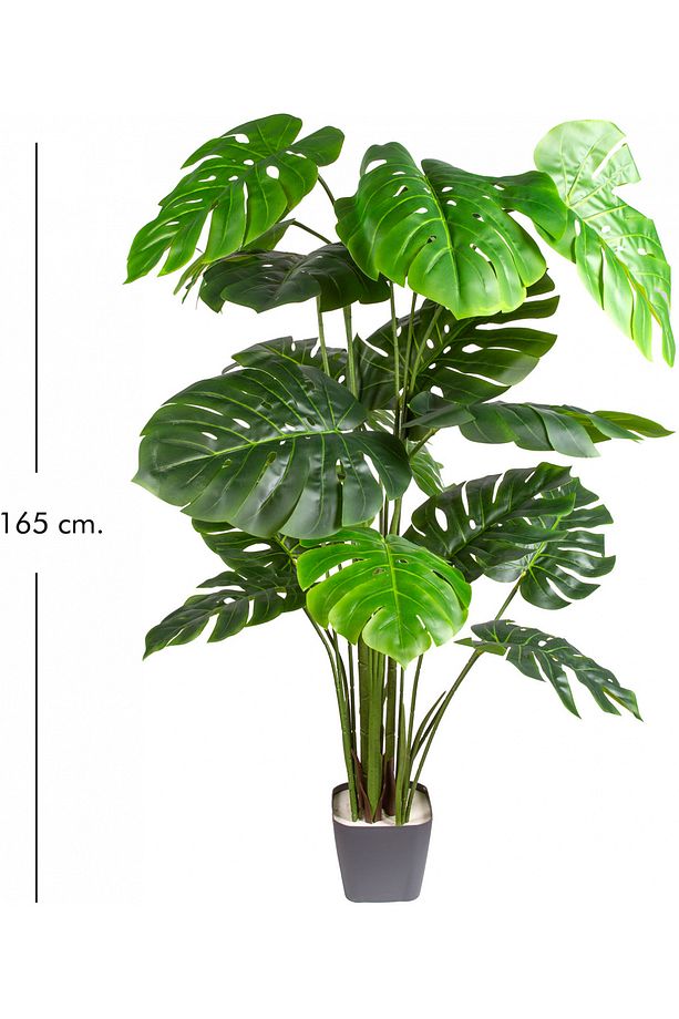 Yapay Monstera - Deve Tabanı Ağacı Gerçek Dokulu 20 Yaprak 165 Cm. - 5