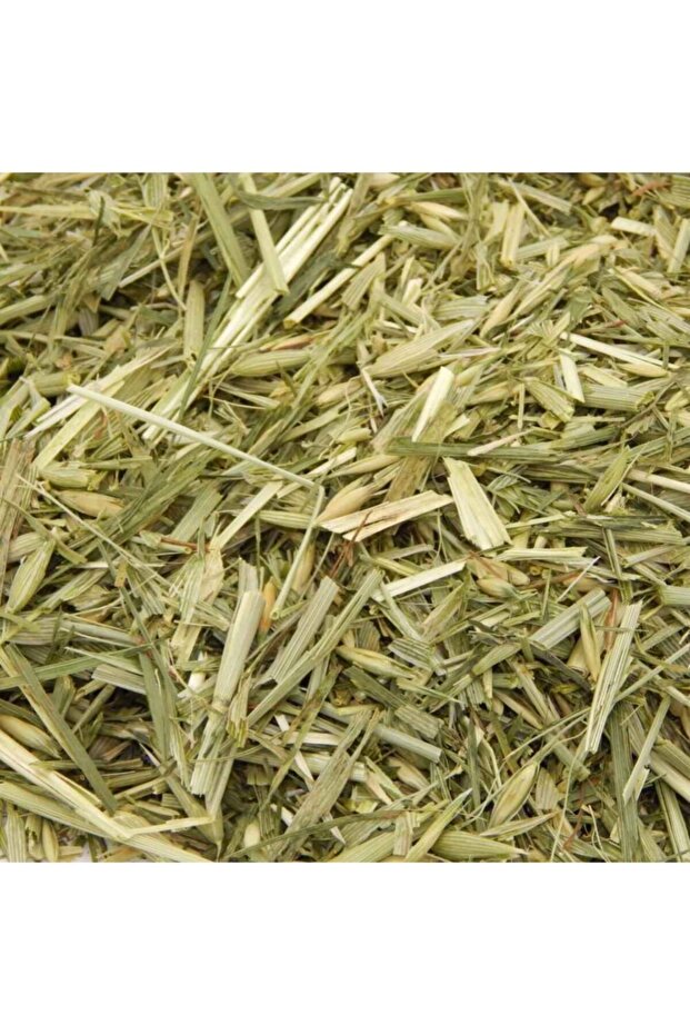 Yulaf Samanı Otu 135 Gr - 3