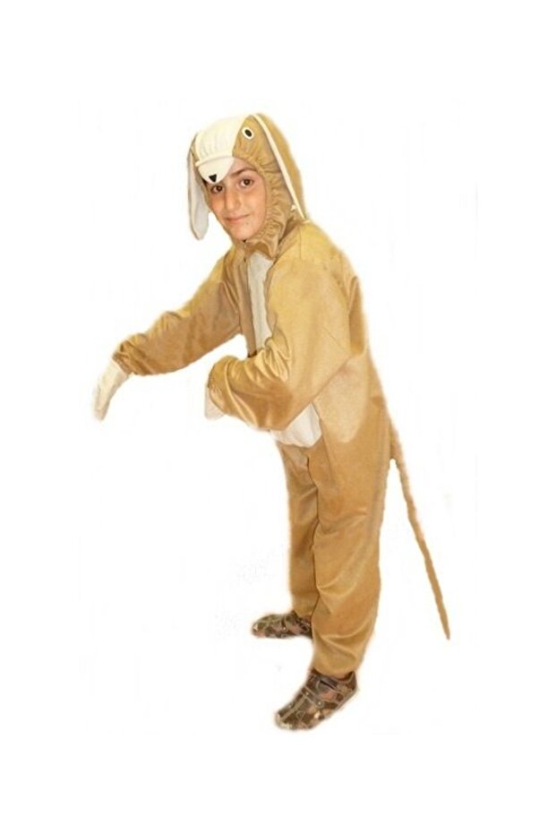 Costum pentru câini - 1