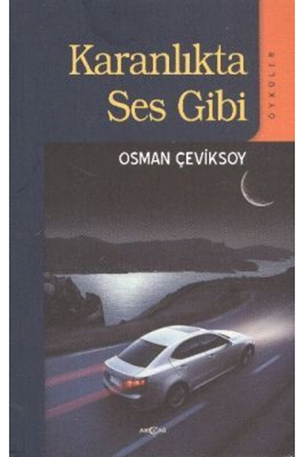 Karanlıkta Ses Gibi