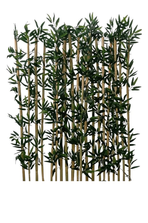 10'lu bambu 170 cm