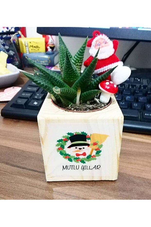 Yılbaşı çiçek - 1