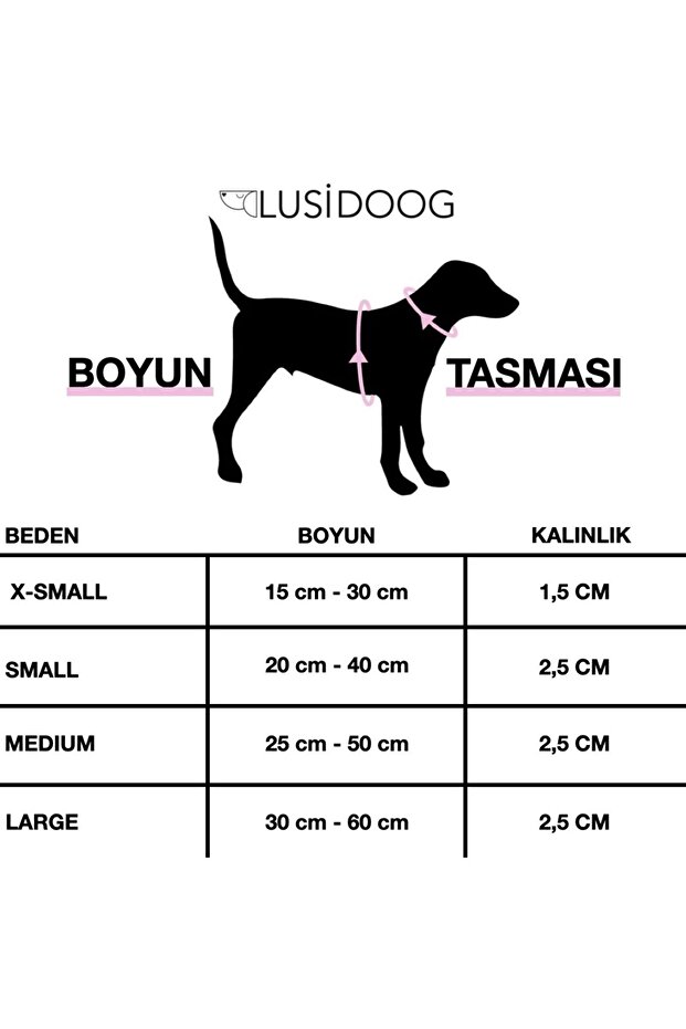 Köpek Tasma Seti Köpek Boyun Tasması Köpek Gezdirme Halatı - 4