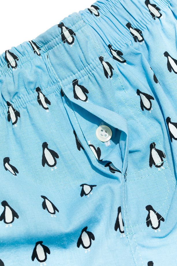 Desenli Erkek Ev Şort – Chill Space Collection – Cool Like Penguin - 7