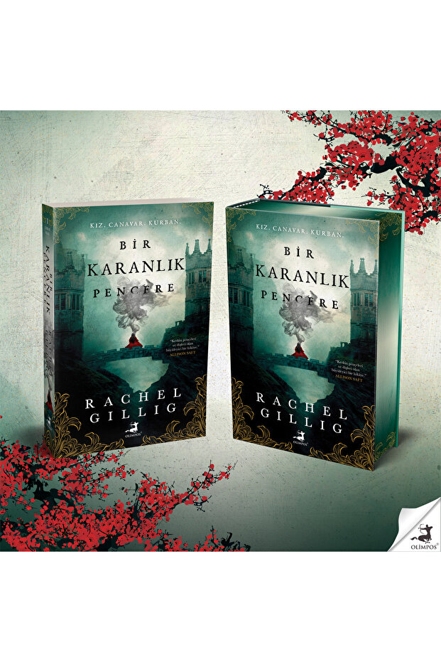 Bir Karanlık Pencere - Rachel Gillig (Ciltli Özel Baskı)