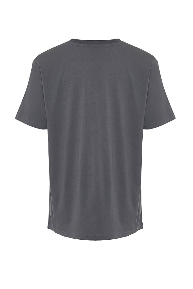 Antrasit Regular/Normal Kesim Kurt Nakışlı %100 Pamuklu T-Shirt TMNSS24TS00056 - 7