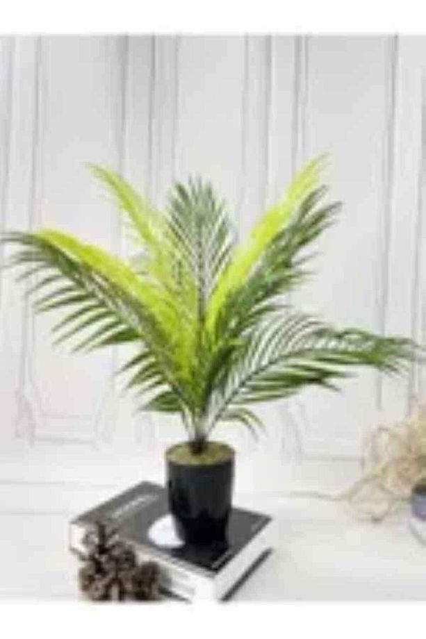 Yapay Çiçek Palmiye Areka Yapay Bitki Salon Çiçeği 9 Yaprak 50cm Saksı Dahi Değildir - 3