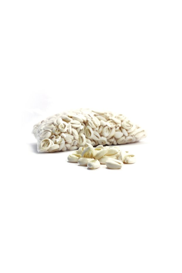 Sea Shell Cream Color Beads 1 Kilogram