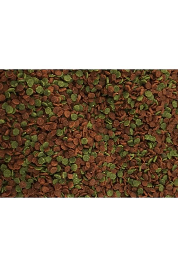 Malawi Cichlid Mix 250ml Protein Bitkisel Özel Karışım Ciklet Yunus Sarı Prenses Balık Yemi - 2