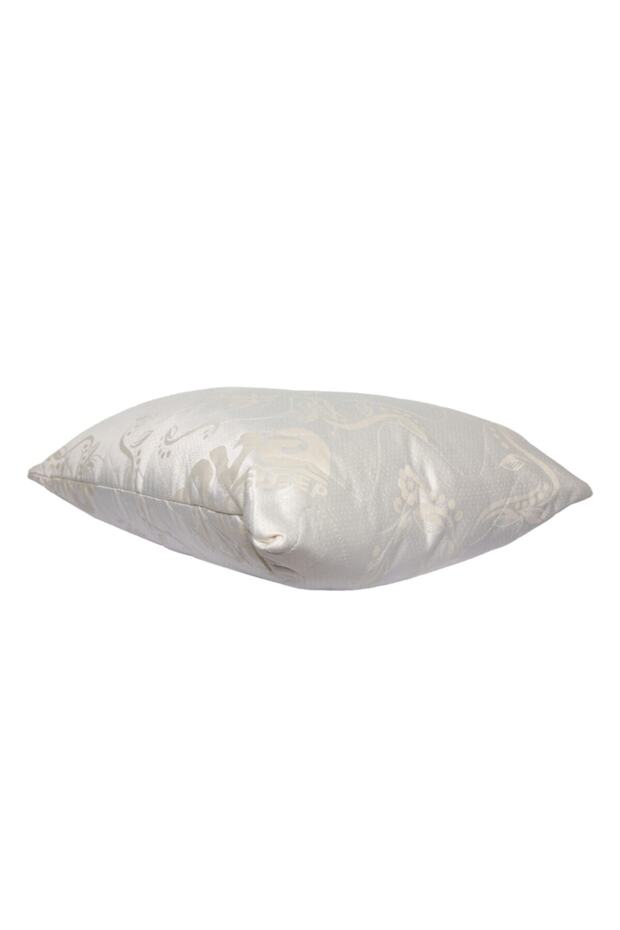 Orthopedic Visco Pillow with Aloevera Cover