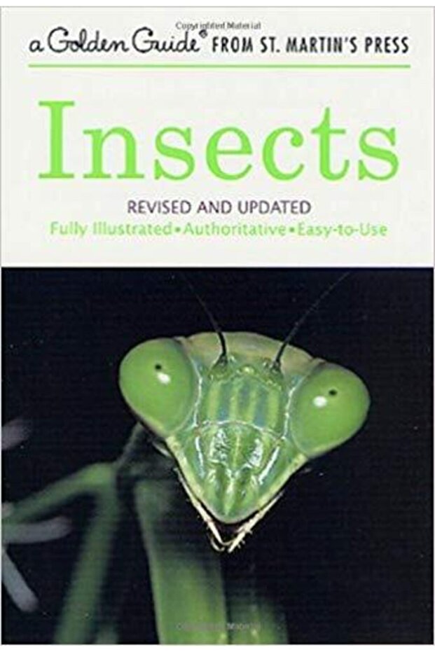Golden Guide Insects