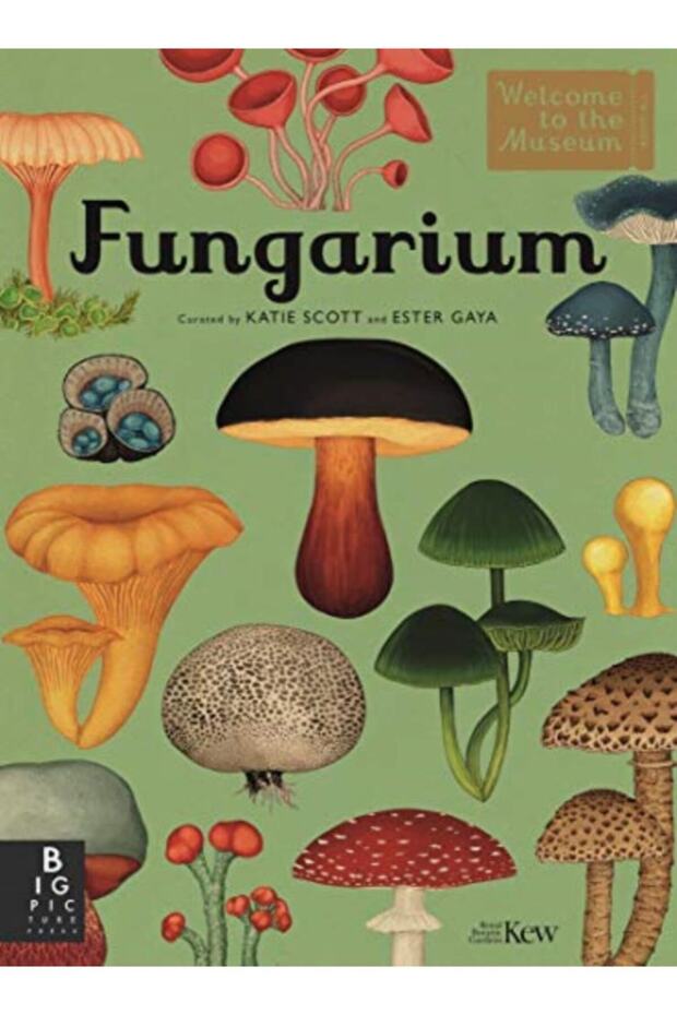 Welcome To The Museum Fungarium
