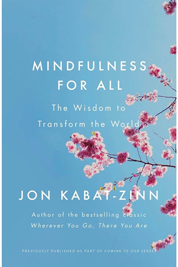 Mindfulness For All: The Wisdom To Transform The World