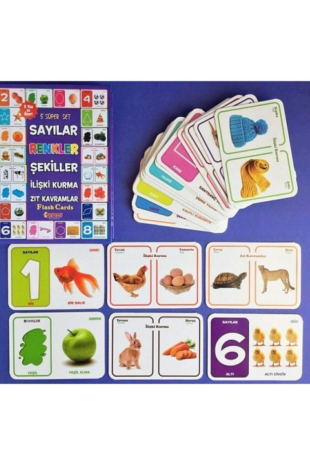 Diytoy Eğitici Sayılar Şekiller Renkler Ilişki Kurma Zıt Kavramlar - 3