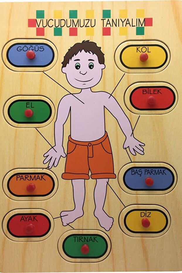 Passive Bu-Bu Puzzle Wooden Body Parts Ap0084 1Pcs