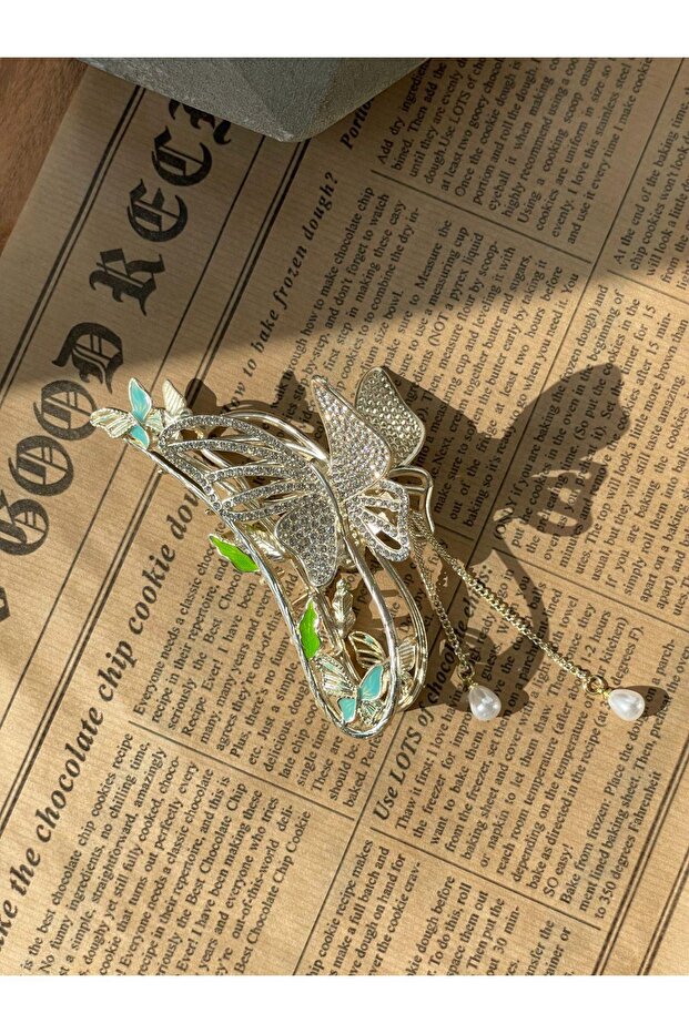Silver Latch Buckle - Stone Detailed Dangle Sbt1738