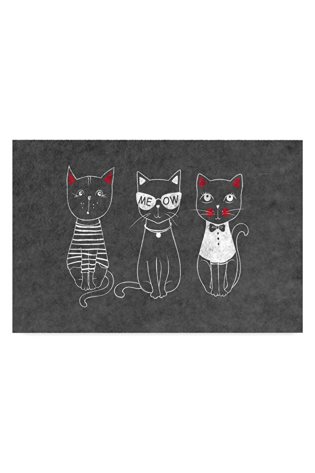 Decorative Door Mat, Outdoor/Household/Door Mats (3 CATS)