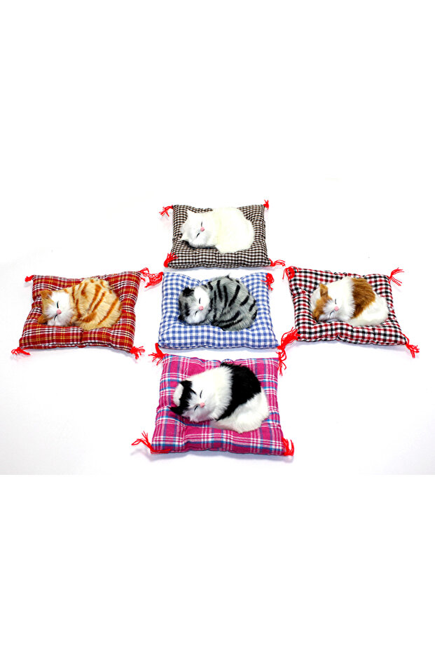 Yastıkta Uyuyan Kedi Sesli Alk24 - 1