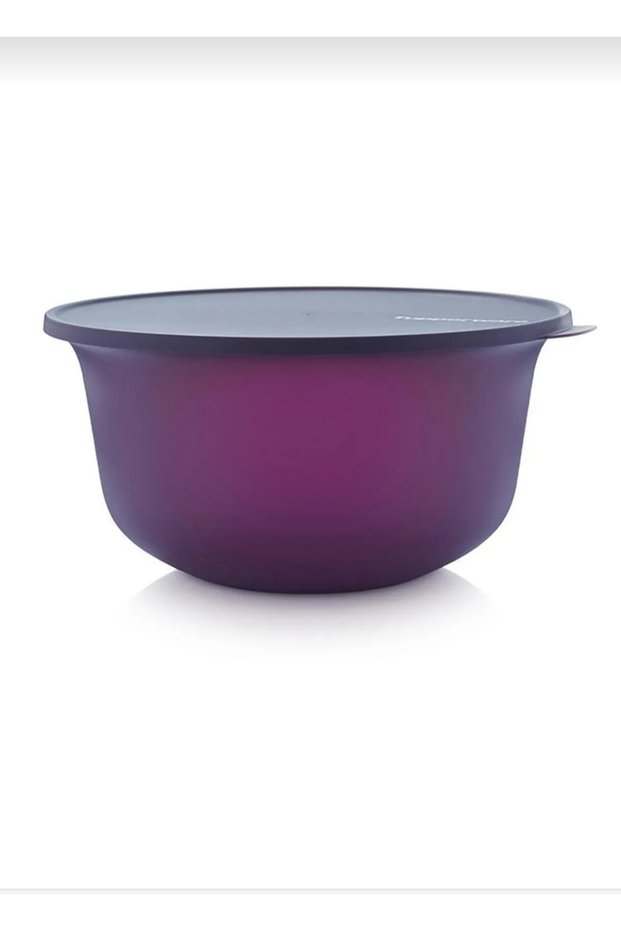 Aloha 7.5 Lt PURPLE Large Storage Container