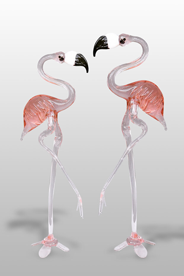 2 li Flamingo