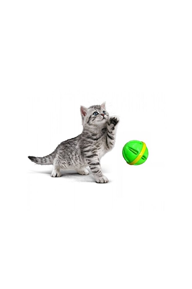 RATTLE CAT PLAY BALL COLORFUL 6.5 CM 1 PIECE