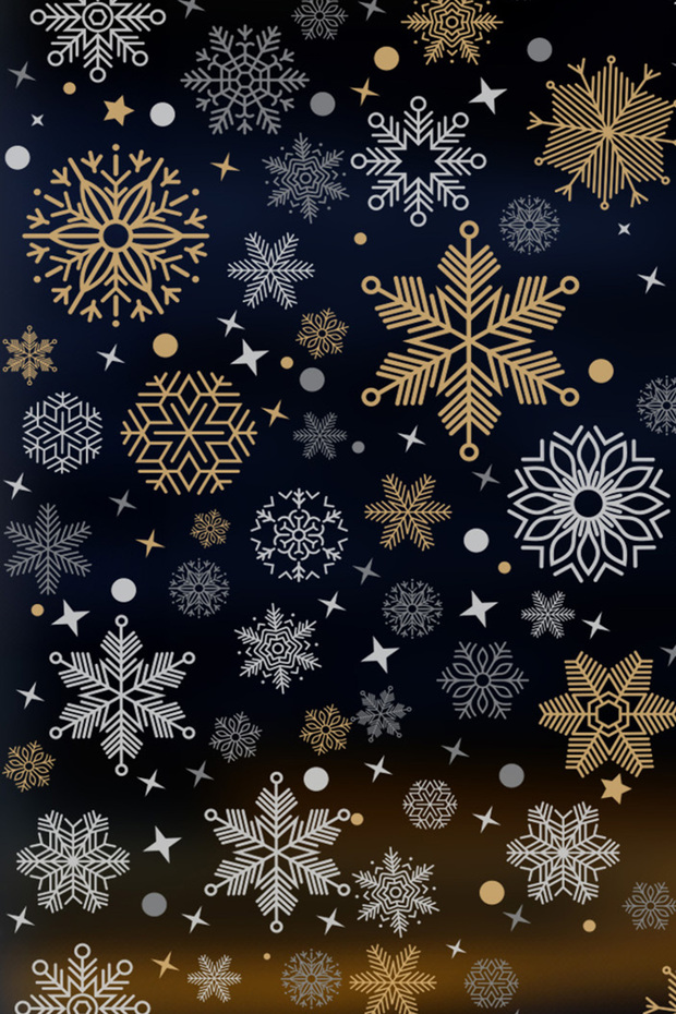 Workplace Winter Themed Cafe Boutique Store Restaurant Snowflake Showcase Ornament 028