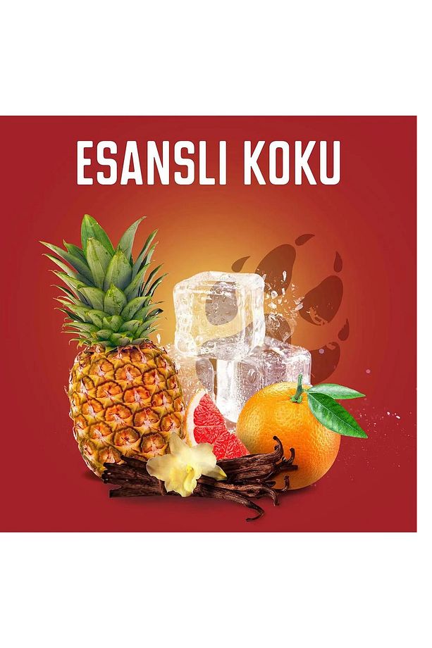 Night Panther Erkekler Için Stick Deodorant 50 ml X 2 Adet - 3