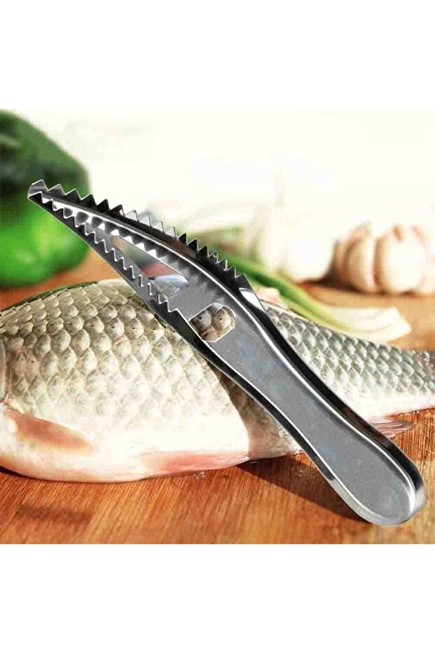 مقشرة السمك (BPS-19) - 3