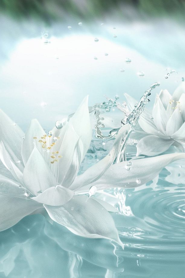 Radiant Mirage EDP Kadın Parfümü, 40ml - Luxury Fragrance Koleksiyonu (Tekrar Doldurulabilir Şişe) - 6