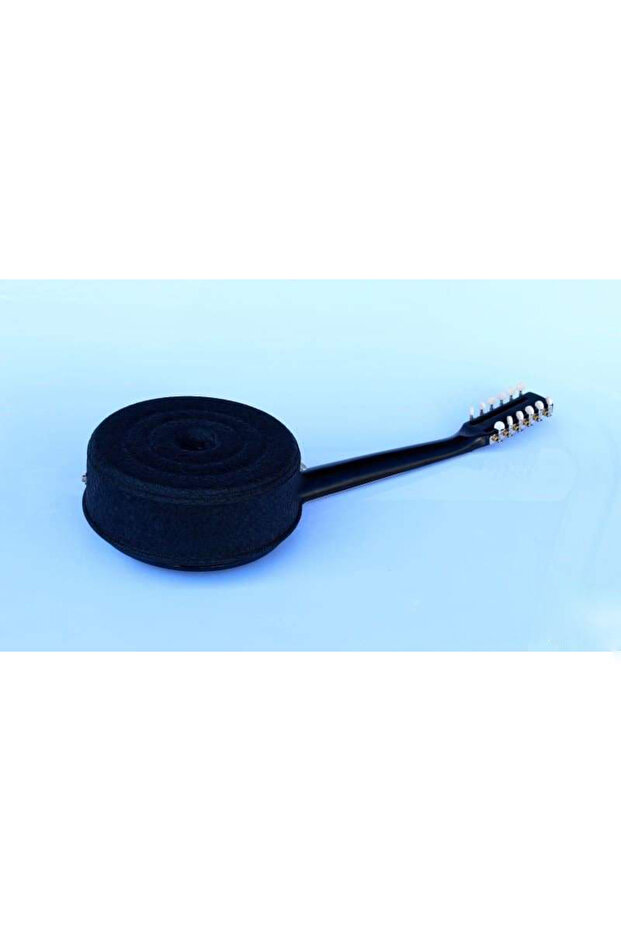 Elektro Cümbüş - 9