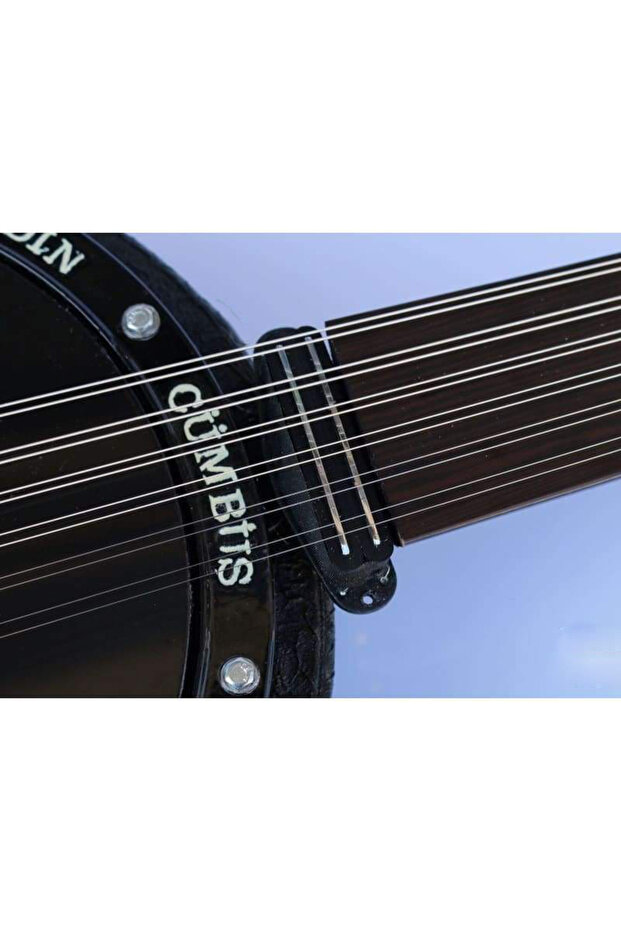 Elektro Cümbüş - 8